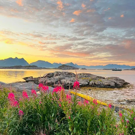 Appartamento Lofotenapartmentone